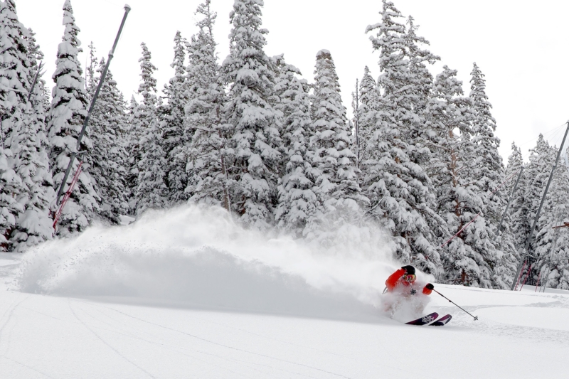 Skier skiing downhill through powdery snow with towering trees in background