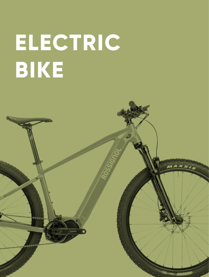 Aloha Electric Bike Rental