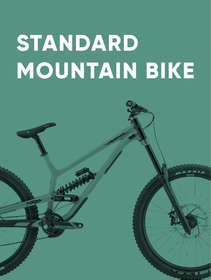 Aloha Standard Mountain Bike Rental